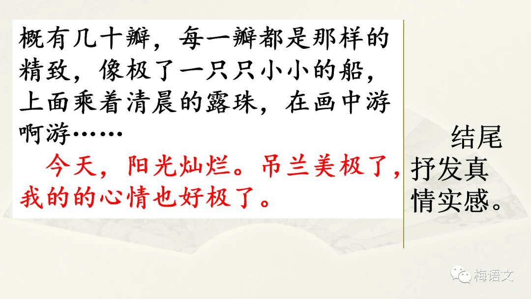 篮球周期训练计划方案设计_0